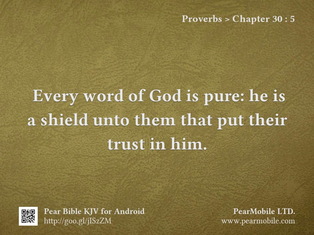 Proverbs, Chapter 30:5